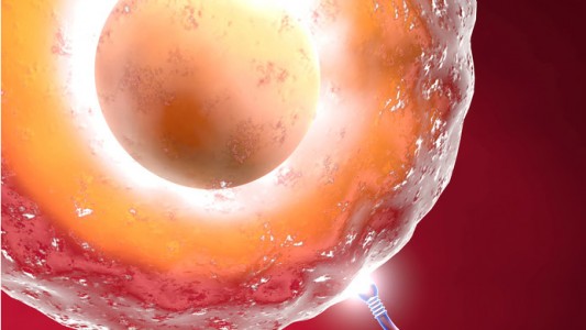 quando fare l amore x rimanere incinta