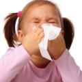 Le allergie respiratorie: i test e le cure