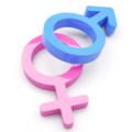 Maschio o femmina? Dipende dal papà