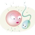 Rimanere incinta: come favorire la fertilità di coppia