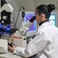Staminali: a che punto è la ricerca pediatrica?