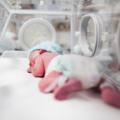 Giornata mondiale del neonato prematuro: 40 mila all'anno