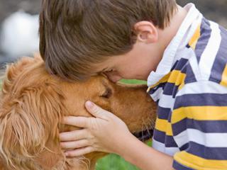 Autismo: sono i cani i migliori dottori!