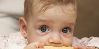 Formaggio ai bambini: fondamentale per le ossa Formaggio ai bambini: fondamentale per le ossa