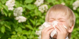 Si allunga la stagione delle allergie nei bambini: i consigli degli esperti 