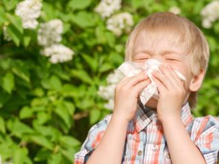 Si allunga la stagione delle allergie nei bambini: i consigli degli esperti 