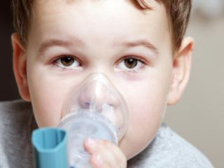 Asma allergica: si può prevenire nei primi 12 mesi