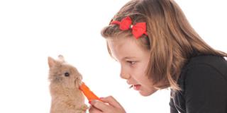 Allergie: in aumento quelle ai roditori