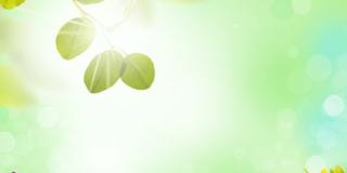 Filastrocca di primavera