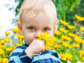 Allergie nei bambini: è importante individuarle presto