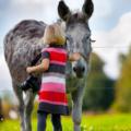 Cavalli e asini possono essere usati per la pet therapy con i bambini