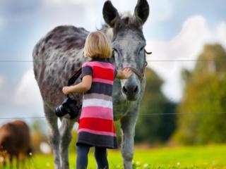 Cavalli e asini possono essere usati per la pet therapy con i bambini