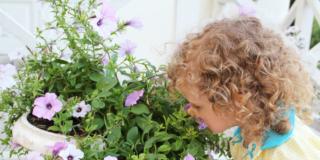 Piante velenose in casa: gli errori da evitare con i bambini