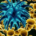 Malattie bambini: ritornano quelle “dimenticate” e si scoprono nuovi virus