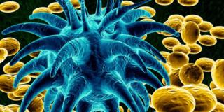 Malattie bambini: ritornano quelle “dimenticate” e si scoprono nuovi virus