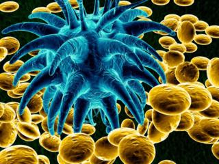 Malattie bambini: ritornano quelle “dimenticate” e si scoprono nuovi virus 
