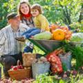 Sai che differenza c’è tra agricoltura biologica, integrata e biodinamica?