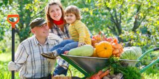 Sai che differenza c’è tra agricoltura biologica, integrata e biodinamica?