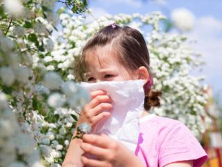 Le allergie non vanno in vacanza, più attenzioni per i bambini