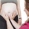 Qual è il ruolo della doula?