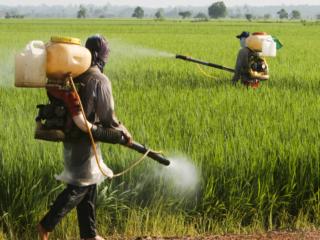 Pesticidi negli alimenti? Attenzione fino ai 10 anni
