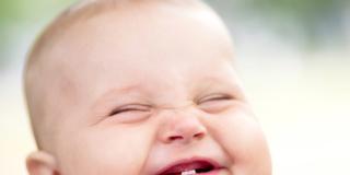 Dai 6 a 12 mesi lo sviluppo del bambino galoppa