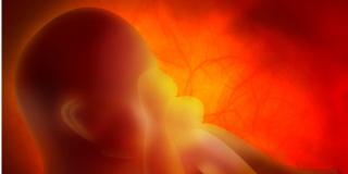 Il bebè si “coccola” già nel pancione