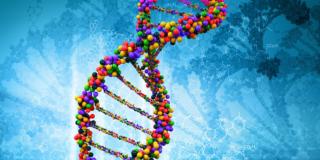 Un test del Dna aiuterà a far nascere bimbi senza malattie rare?