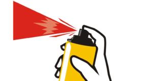 Gravidanza: attenzione a due tipi di insetticidi