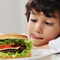 Obesità infantile: la colpa non è solo dei fast food