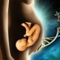Il nuovo test del Dna fetale individua la sindrome di Down