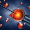 Fecondazione in vitro: più rischio aborto con meno ovuli