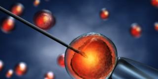 Fecondazione in vitro: più rischio aborto con meno ovuli