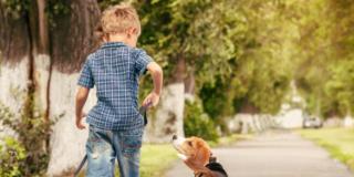 Autismo e pet therapy: un cane come amico!