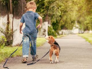 Autismo e pet therapy: un cane come amico!  