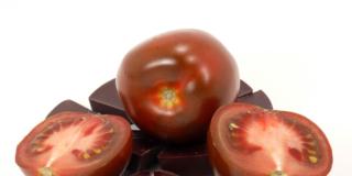 Alimentazione: pomodori e cioccolato proteggono dal sole