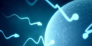 Fertilità dopo un tumore: si può fare!