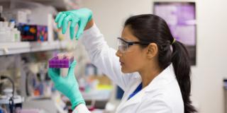 Fecondazione assistita: più chance di successo con i test genetici?