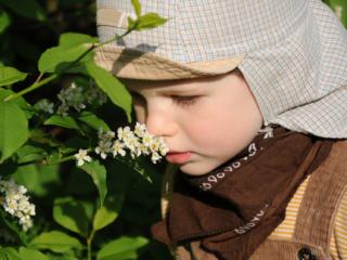 Allergia autunnale: ecco come prevenirla