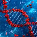 La super-amniocentesi svela l’80% delle malattie genetiche