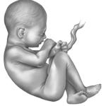 https://www.bimbisaniebelli.it/wp-content/uploads/2015/01/8mese-150x150.jpg