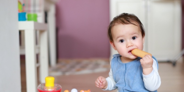 Cosa contengono e come regolarsi con i biscotti durante lo svezzamento