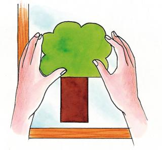 albero e tronco carta su vetro albero e tronco carta su vetro