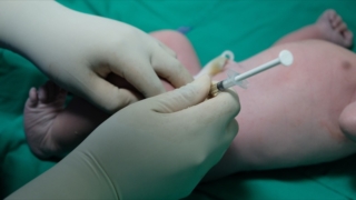 vitamina K neonato