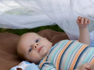 Punture d’insetto e il bambino