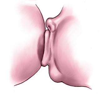 neonato succhia latte tetta neonato succhia latte tetta