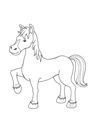 shutterstock_121244443