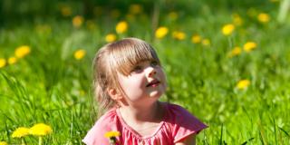 Allergie: come metterle Ko in 6 mosse