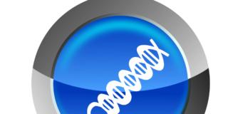 Fecondazione: sì alla diagnosi preimpianto per le coppie fertili gravi