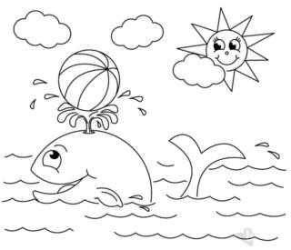 Balena e sole disegno